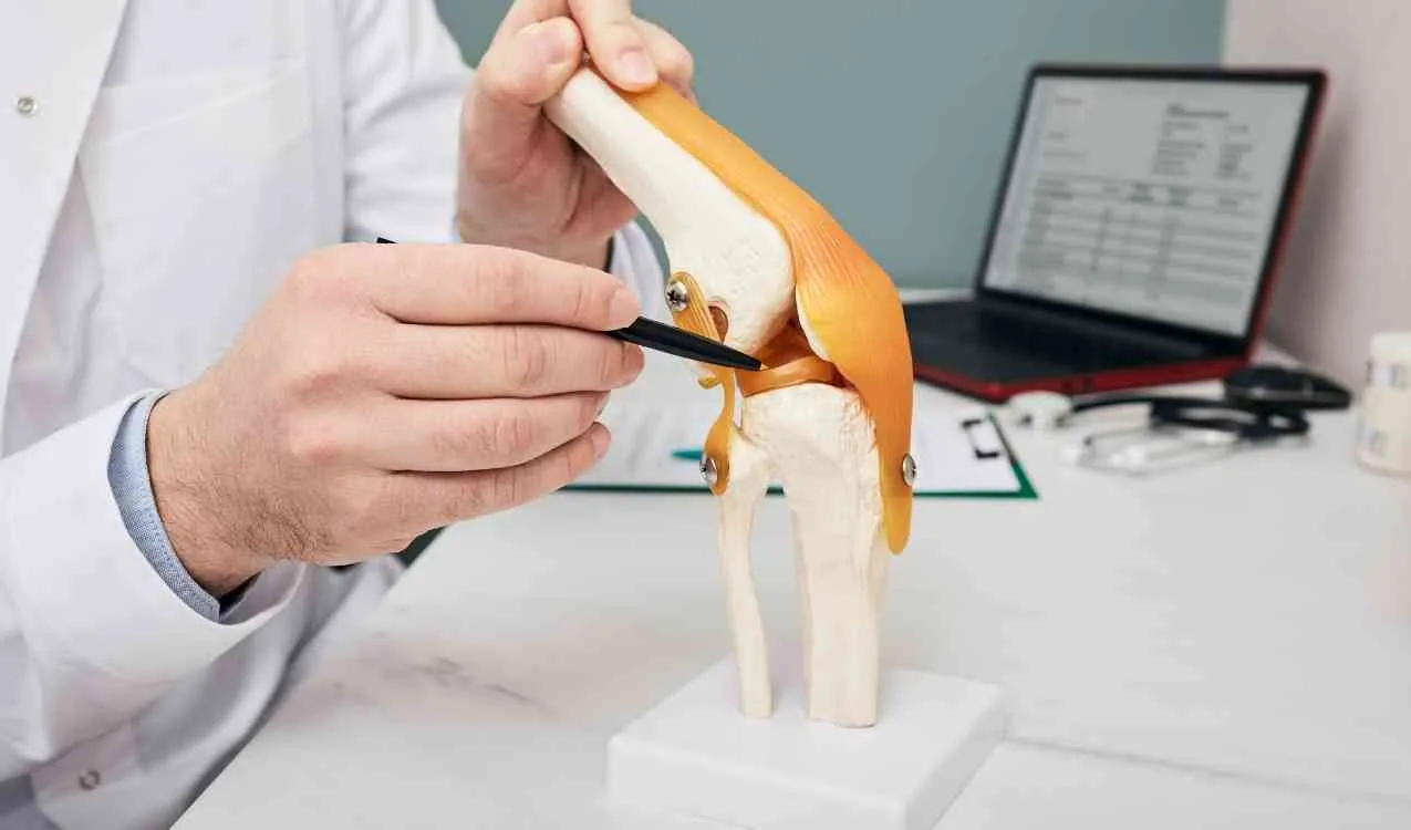 Menisküs Belirtileri Nelerdir?