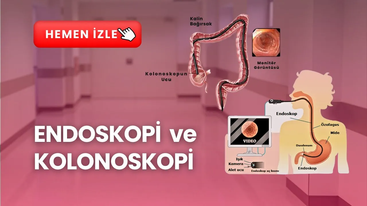video-bg-2